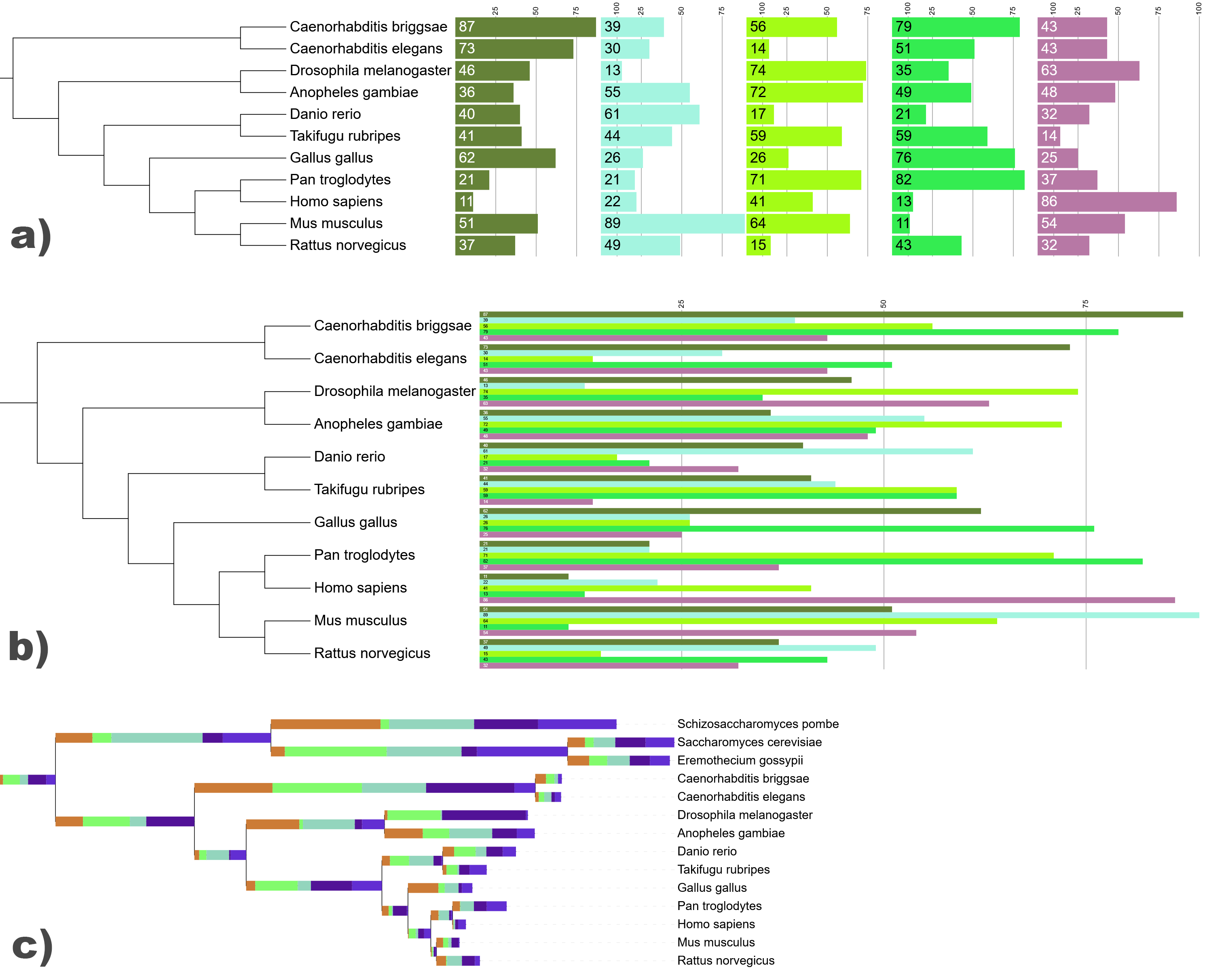 Multi value bar chart datasets with a) aligned and b) side stacked fields. In c), the dataset is displayed over the tree branches.